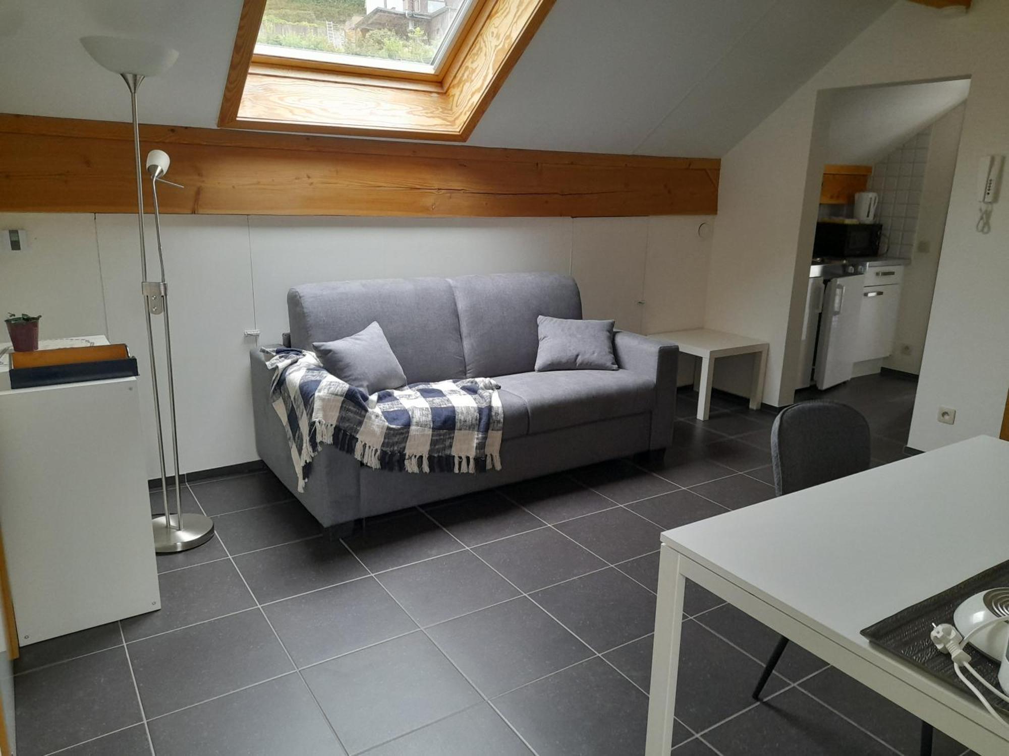 Apartamento Meuble De Tourisme A Bouillon Exterior foto